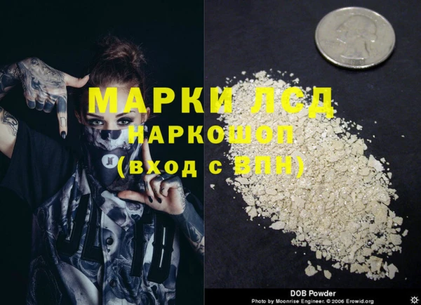 стафф Алексин