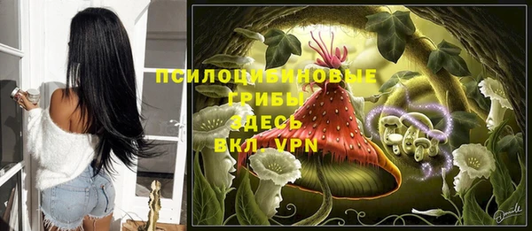 стафф Алексин