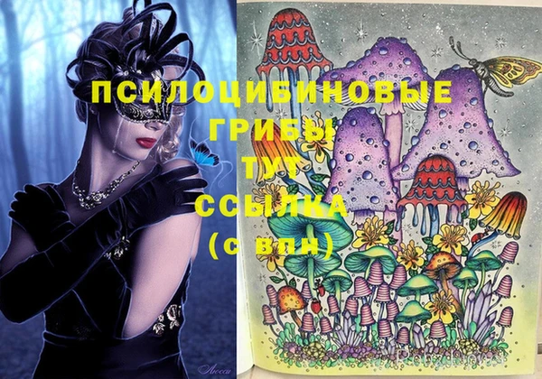 стафф Алексин